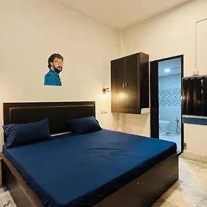 El Profesor インド